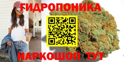 крисы Чебоксары