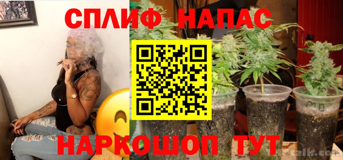 Марихуана тримм  Бошки Шишки VHQ  Вход с VPN  Большой Камень  Марихуана Ganja  Конопля AK-47 